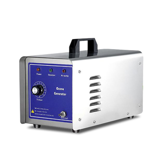 Qlozone 110v 220v portable mini ozone generator water treatment air purifier ozonator air and water