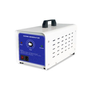 Qlozone portable mini 110V 220V 10g ceramic plate ozonator air purifier sterilizer ozone generator air
